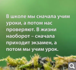 Показать в полный размер