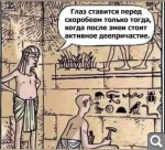 Показать в полный размер