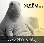 Показать в полный размер