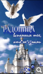 Показать в полный размер