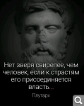 Показать в полный размер