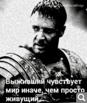 Показать в полный размер