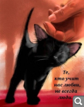 Показать в полный размер