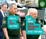 Показать в полный размер