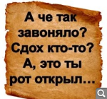 Показать в полный размер