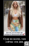 Показать в полный размер