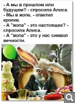 Показать в полный размер