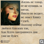 Показать в полный размер