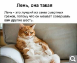 Показать в полный размер