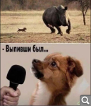 Показать в полный размер