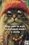 Показать в полный размер