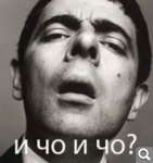 Показать в полный размер
