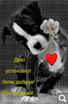 Показать в полный размер