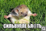 Показать в полный размер