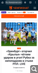 Показать в полный размер