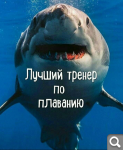 Показать в полный размер
