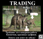 Показать в полный размер