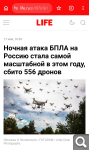 Показать в полный размер