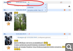 Показать в полный размер