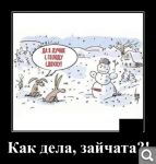 Показать в полный размер