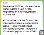 Показать в полный размер
