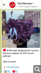 Показать в полный размер