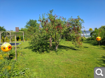 https://s1.hostingkartinok.com/uploads/thumbs/2026/07/2ee68b04c83e0d0568cbcd1778ea5e4a.png