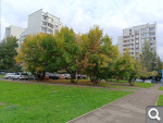 Показать в полный размер