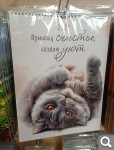 Показать в полный размер