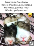Показать в полный размер